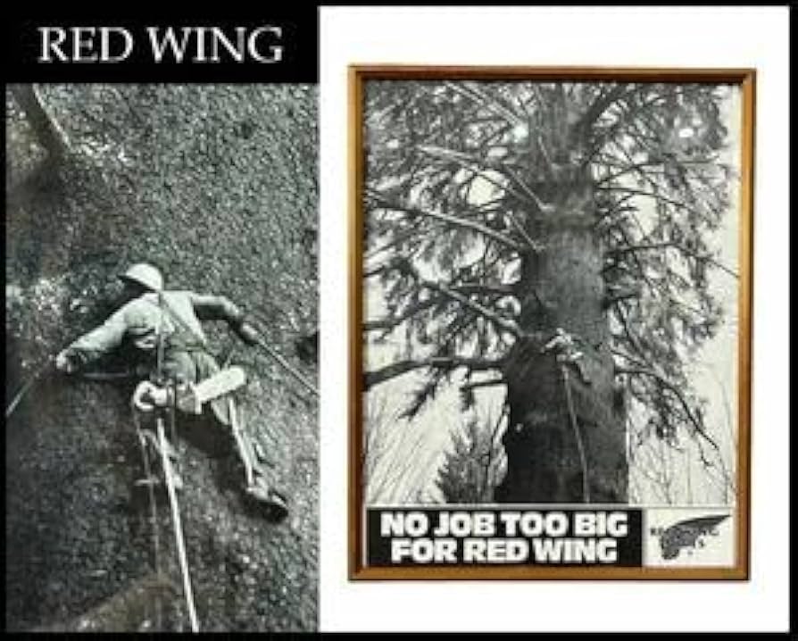 値下げ！ロマーノレヴィ　ポスター 販売終了】ロマーノ・レヴィ ポスター(A2サイズ) | イタリア