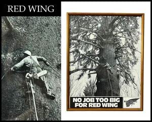 Redwing 限定ポスター　額装済み Amazon.co.jp: 送無 激 約30年前に入手 80年代 RED WING レッド