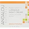 Andalou-Natural-Purple-Carrot-C-Luminous-Night-Cream-Purple-Carrot-Plus-C-Luminous-17-Ounce Andalou Natural Purple Carrot + C Luminous Night Cream, Purple Carrot Plus C Luminous, 1.7 Ounce