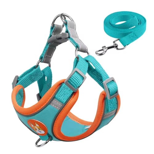 Colete Peitoral para Cachorro com Guia, Refletivo, Tecido Suede Camurça, Acabamento Premium, Conforto e Estilo (AZUL PISCINA, GG)