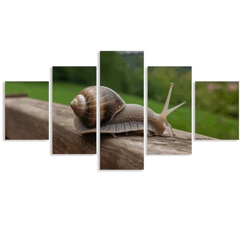 Œuvre d'art salon escargot sur bois avec finitions de toiles encadrées