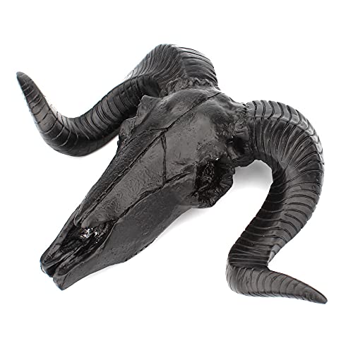 Mbvbn Skull Sheep Head Wall Sculpture,Resin Ram Decorations,Ram Decor Animal Skeleton Sculpture Hanging Art Collectible (B), About 25.5X6X17.5Cm/ 10X2.36X6.89'' #TOP2