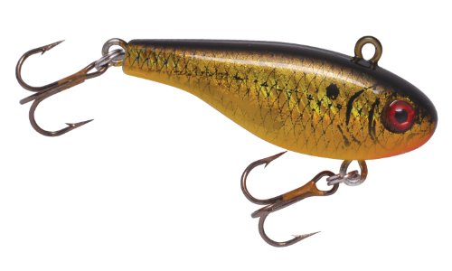 Lindy Darter - Golden Shiner - 1 1/3 in