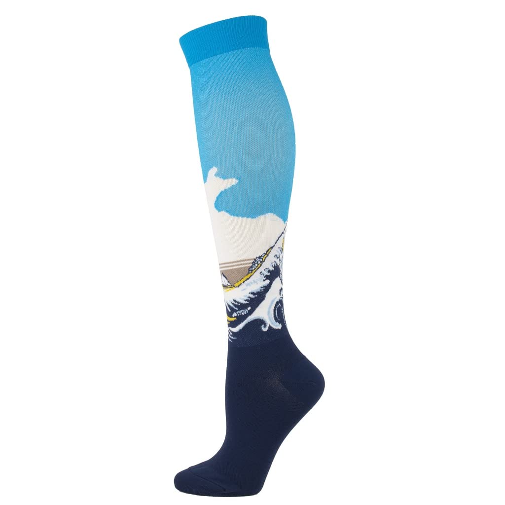 Sports Compression Stockings Famous Painting Socks Compression Socks Outdoor Stretch Socks (L/XL,HAILANG)