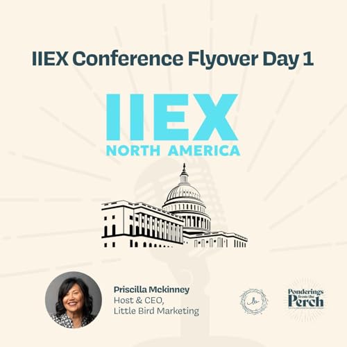 IIEX DC Conference Flyover Day 1