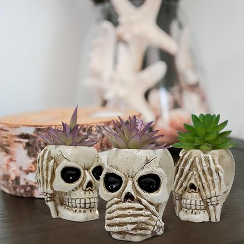 Pot de fleurs succulente tête de mort - Solution déco originale pour petits espaces
