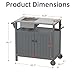 TORVA All in One Outdoor Grill Cart with Sink,Cabinet and Cover, 42 inch Freestanding Modular Kitchen Sink Station in 304 Stainless Steel&HDPE, All Weather Use BBQ Table, Grey