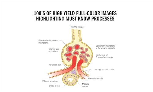 USMLE Step 1 Self-Study Toolkit 2024-2025: Lecture Notes + Qbank (USMLE Prep)