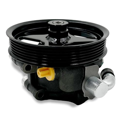 DYZJKWJW 20-312P1 Power Steering Pump with Pulley,For 2003-2006 Ford Expedition,For ...