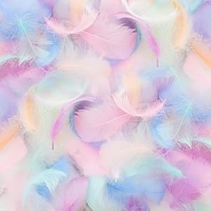 Mbsomnus 600 Stück Macaron Federn zum Basteln