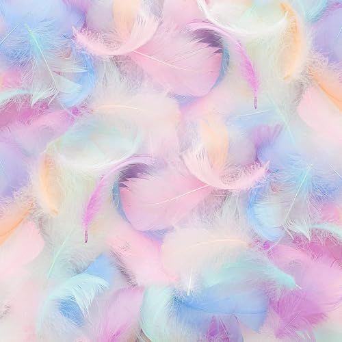 Mbsomnus 600 Pcs Feathers for Crafting Macarone Feathers Natural Craft Feathers 5-12 cm Feathers for DIY Crafts Dream Catcher Earrings Headdress Hats Feather Flowers Wedding Party Holiday Decoration