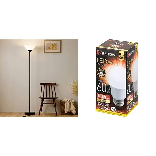 ydZbgzACXI[} tACg X^hCg   Ɩ k X^h Ǐ Q LEDdΉ tAv E26 E26 ԐڏƖ rO _CjO fXN[N e[N xbhTCh px߉\ ȒP