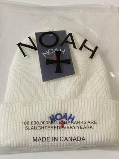 Amazon.co.jp: NOAH ノア ロゴ刺繍入りニット帽 ビーニー
