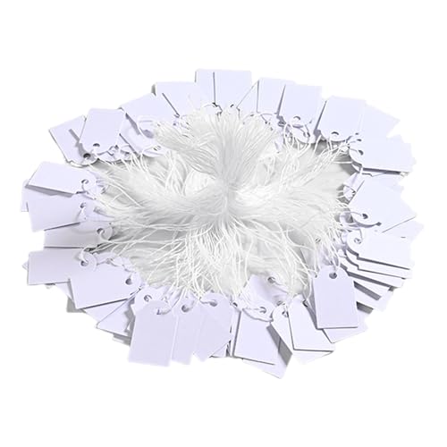500pcs WritablenMOx̉iݒƃfBXvCWG[̈ߗނƏX݂̒艺̈ߕ̉i