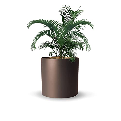 Image of Xtore Pleasing Planter Flower Pot | Home Decor Addon | Matte Finish - Pack of 1, Brown