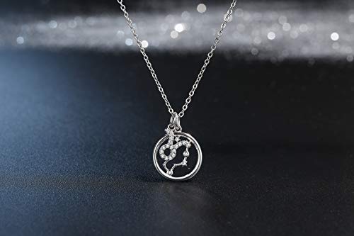 Presentski Zodiac Necklace Sterling Silver 12 Constellation Horoscope Pendant Astrology Star CZ Dainty Necklaces Birthday Jewelry for Women Daughter2