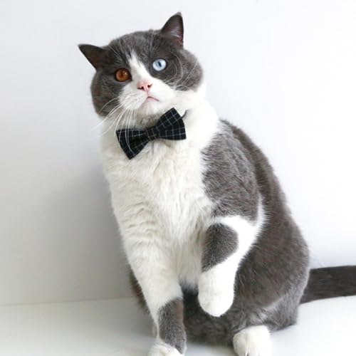 Disfraz de graduación para mascotas Luxshiny con gorro y corbata miniatura 4