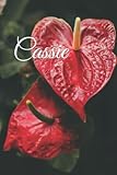  Cassie PLANNER