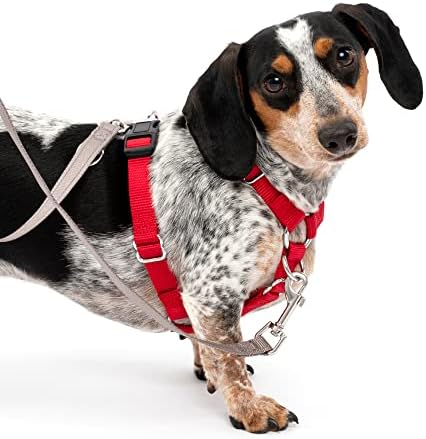 PetSafe Sure-Fit Dog Harness - Training & Behavior Aid - Tactical Design Prevents Pressure on Throat - 2 Quick-Snap Buckles Simplify Slipping On & Off - 5 Adjustment Points - Small, Red