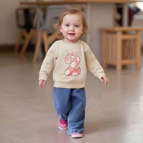 Bagilaanoe Toddler Baby Girl Birthday Outfit 1/2/3/4/5 Year Old Birthday Long Sleeve Sweatshirt Pullover Shirt Top3