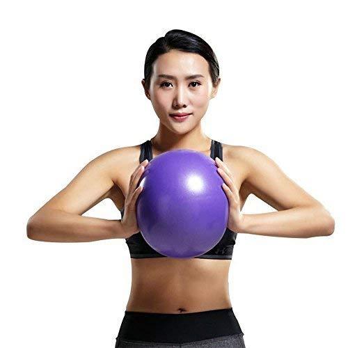 Moldfun Mini Yoga Pilates Ball 9-10 Inch For Stability Exercise Training Gym Anti Burst And Slip Resistant Balls With Inflatable Straw (Purple) #TOP10