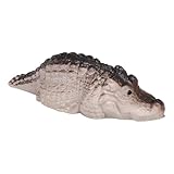 Occasions : en plus d'être utilisé comme service à thé dans l'étiquette de la cérémonie du thé, il peut également être utilisé dans une variété d'occasions, telles que les bureaux, les étagères, les tables à manger, les chevets