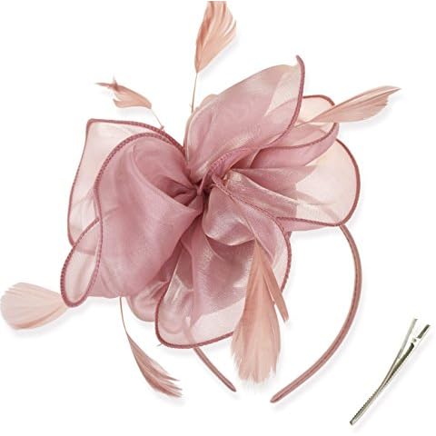 DRESHOW Fascinators Hat Tea Party Headwear Ribbons Feathers on a Headband and a Clip for Girls and Women Cover