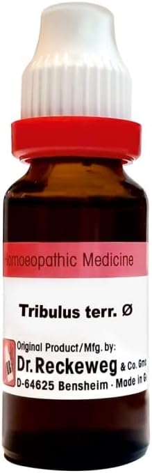Tribulus Terr Q (20ml) Dr. Reckeweg