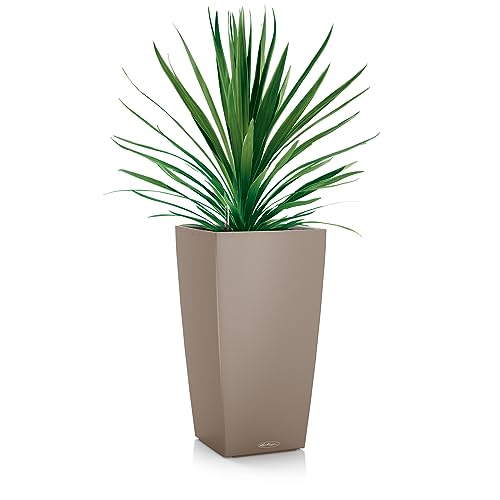 Lechuza Cubico Color 40 Marrone Sabbia 13308 - 2