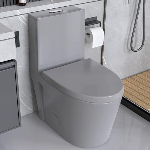 SPOWAY One Piece Toilet, 1/1.6 GPF Elongated Dual Flush Toilet