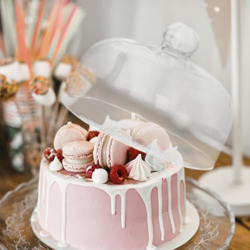 Cloche à gâteaux en dôme de service raffiné pour plateaux de présentation 17.5x25.5 cm