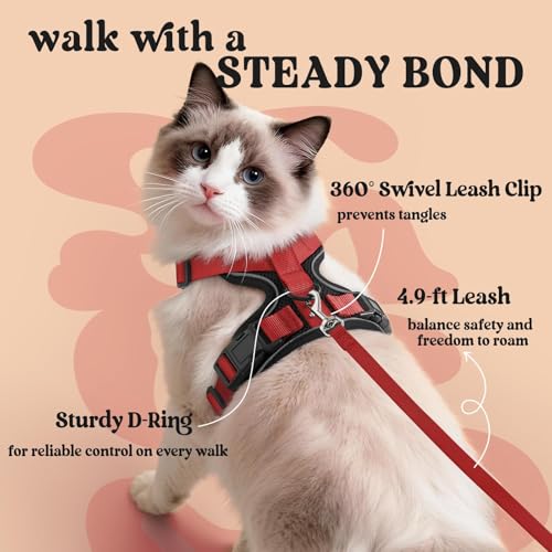 Image of rabbitgoo Cat Harness and Leash Set, Escape Proof Vest, Black & Red | Soft Breathable Mesh, Easy Adjustable Fit, Snap Buckles, Sturdy Clip, Reflective Strips, for Average Cats Walks, S