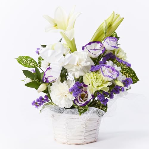 bloomee(u[~[)  ̂܂܏ AWg  MTCY ( t) ( J[ht)  ԑ  ~j ( dp p)  @ ފ ~ V~ (ԕrsv) ybg 