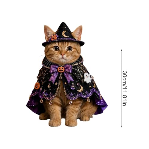 Disfraces Halloween para gatos que evitan el estrés en las reuniones en casa 6