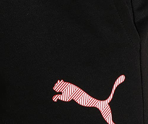Image of Puma Men Track Pants