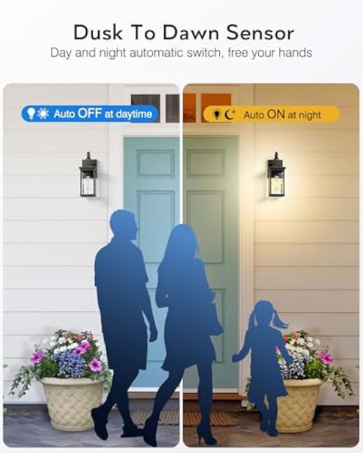 VIANIS Outdoor Wall Lights Wall Lantern Sconce Modern Black Gold Trim