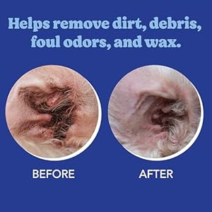 Angels eyes ear cleansing wipes for dogs and cats removes dirt wax odor reduce infections and itching no artificial colors or fragrance 100ct   cucciolini doodles