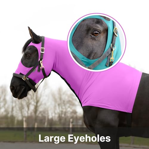 Image of RESISTANCE Premium Horse Hood Full Zipper with Face & Forelock Saver - Horse Sleazy Slickers and Horse Care Sheet