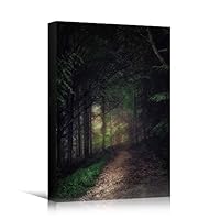 Canvas Wall Art Green Forest Dramatic Forest Landscape Living Room Multicolor Photography Rustic - 12x18 inches