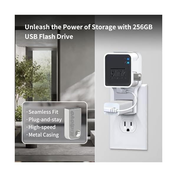 256GB USB Flash Drive & Wall Mount for Blink Sync Module 2 with Short Cable – Declutter, Save Space, and Effortlessly Enhance Security (1 Pack) - Image 3