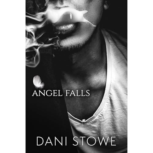 Angel Falls Audiobook By Dani Stowe cover art