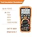Digital Megohmmeter, Insulation Resistance Tester, 50V/100V/250V/500V/1000V for Electrical Equipment and Insulating Resistance Up to 100GΩ with PI/DAR, Frequency and Low Voltage Test
