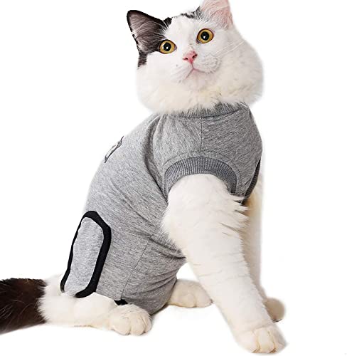 Alternativa al E-Collar de algodón para evitar infecciones en eccemas y cirugías 2