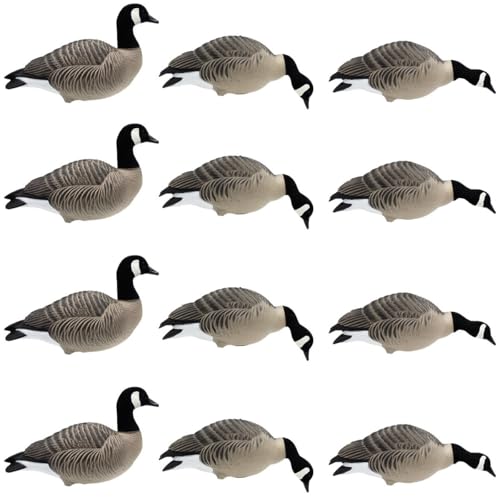 Final Approach HD Full Body Lesser Canada Geese, Decoy 12 Pack