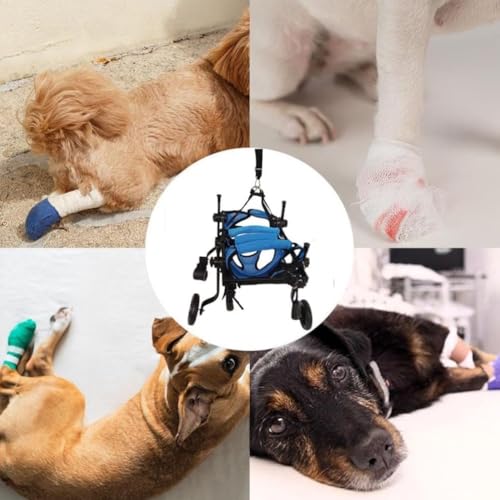 Silla de ruedas para perros de aluminio ajustable con 4 ruedas para soporte completo 6