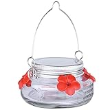 Nature's Way Bird Products MJF1 Nature's Way Mason Jar Hummingbird Dish Feeder, Clear