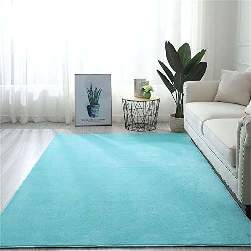 Tapis salon moderne antidérapant et doux facile à nettoyer