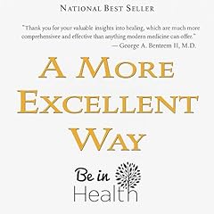 A More Excellent Way: Be in Health Audiolibro Por Henry Wright arte de portada