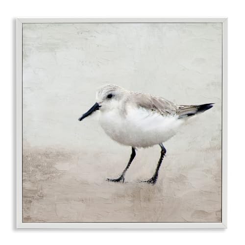 Lone Sandpiper Coastal Bird Portrait, 12 x 12 Inch Framed Giclée Print