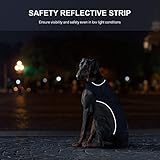 IREENUO Wasserdichter Hundemantel, Hundejacke Winter Winddichter Warmer Hunderegenmantel für Mittelgroße bis Große Hunde mit Sicheren Reflexstreifen und Verstellbarem Brustriemen (XL, Blue)